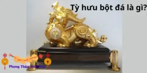 Tỳ hưu bột đá là gì?