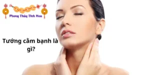 Tướng cằm bạnh là gì?