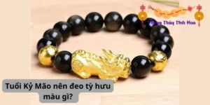 Tuổi Kỷ Mão nên đeo tỳ hưu màu gì?