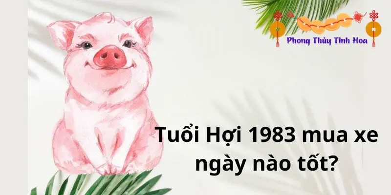 Tuổi Hợi 1983 mua xe ngày nào tốt?