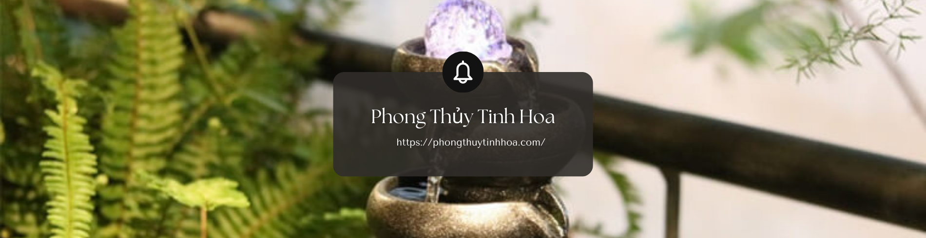 phong thuy tinh hoa 2